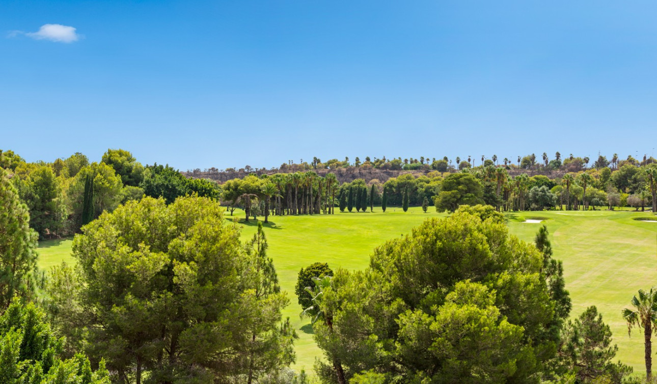 Resale - Apartment / Flat - Dehesa de Campoamor - Campoamor
