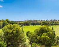 Resale - Apartment / Flat - Dehesa de Campoamor - Campoamor