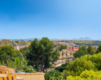 Resale - Apartment / Flat - Dehesa de Campoamor - Campoamor