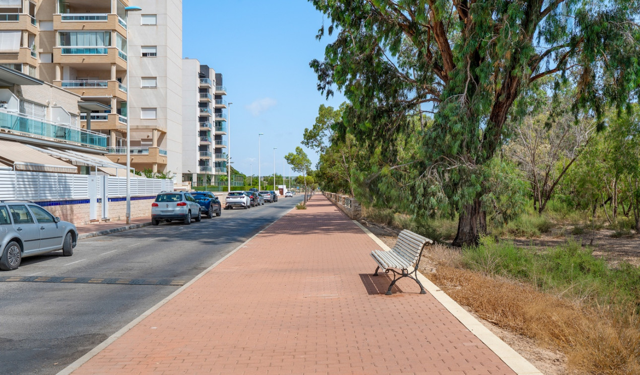 Resale - Apartment / Flat - Guardamar del Segura - Guardamar