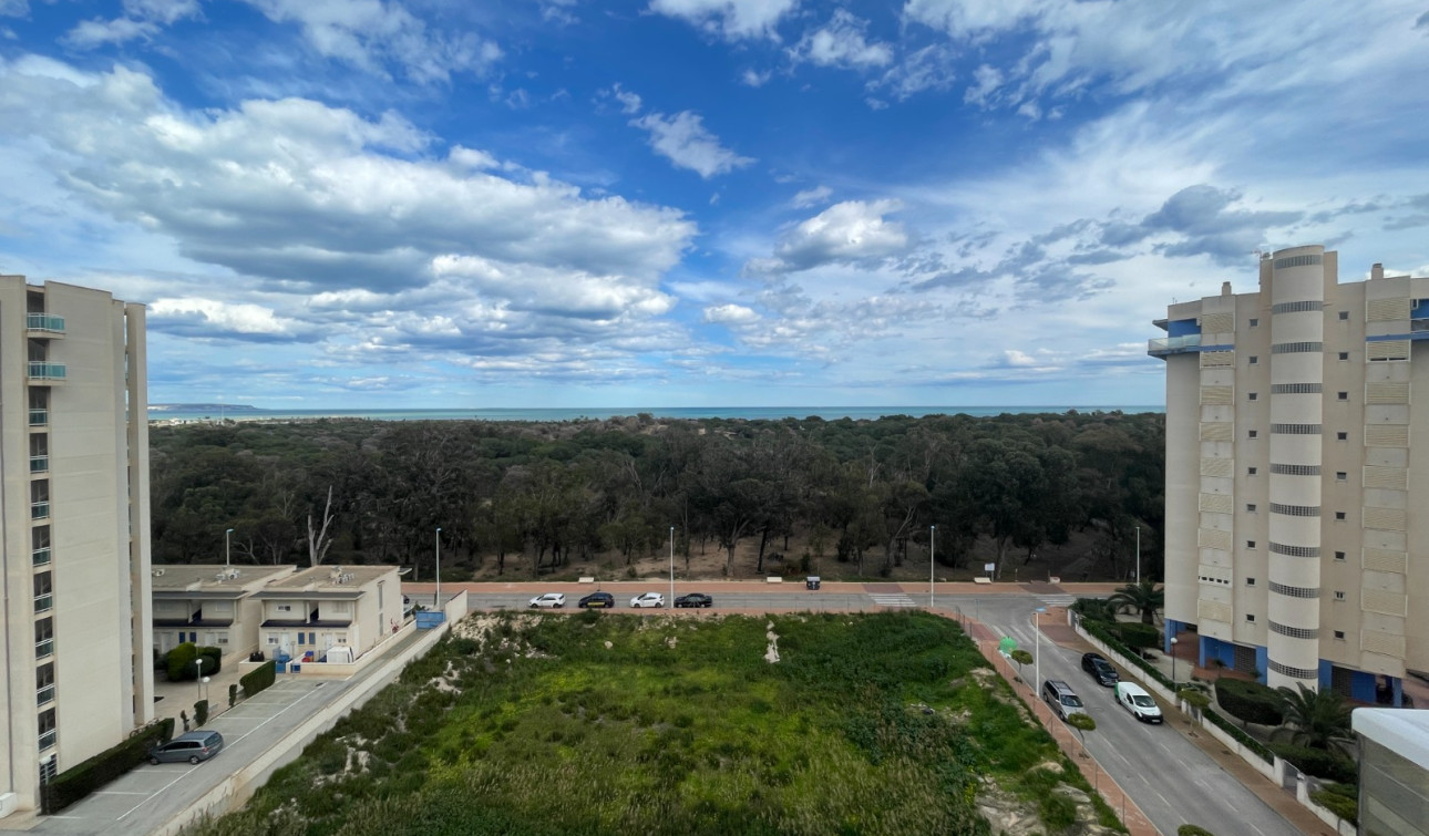 Resale - Apartment / Flat - Guardamar del Segura - Puerto Deportivo
