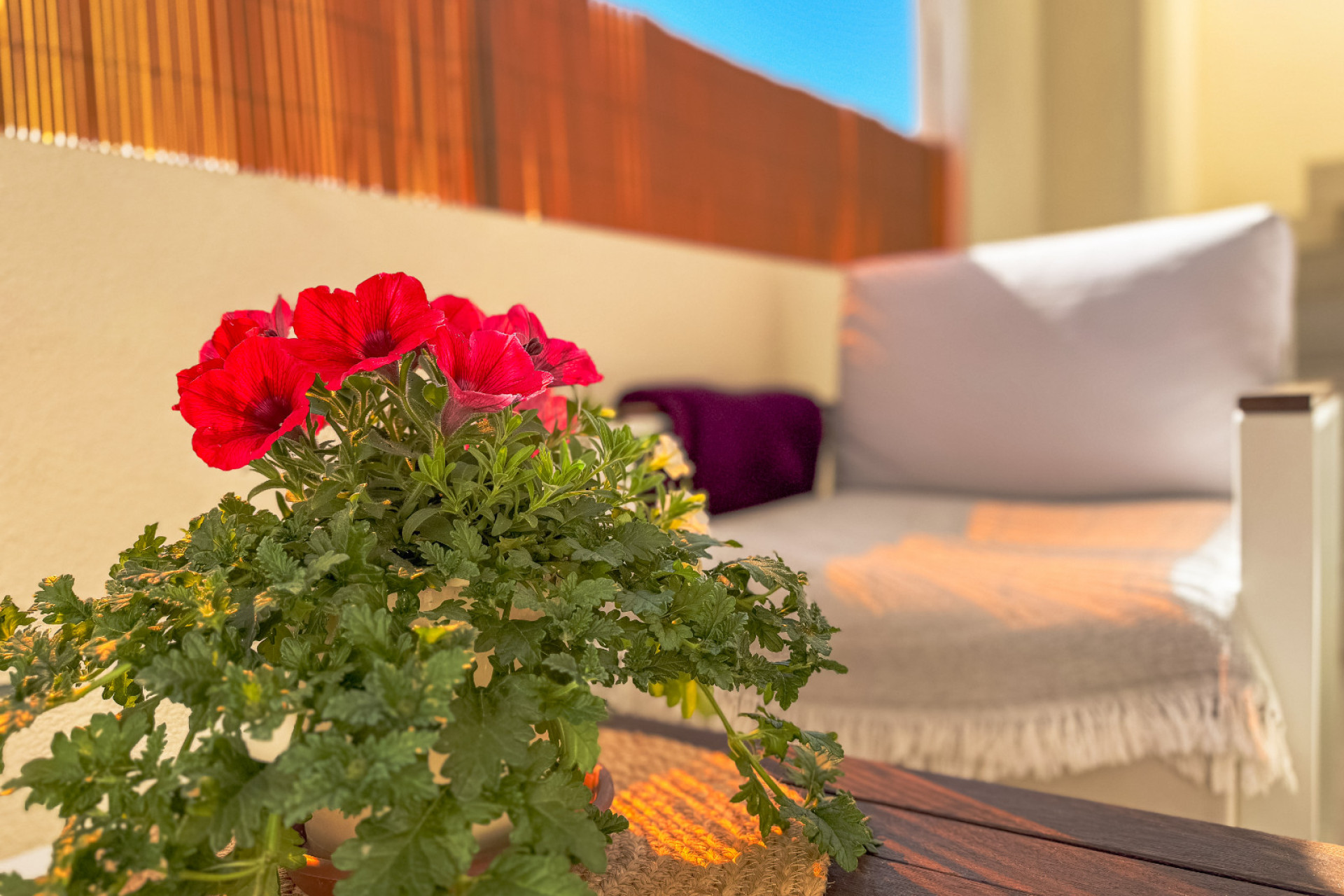 Resale - Apartment / Flat - Los Altos