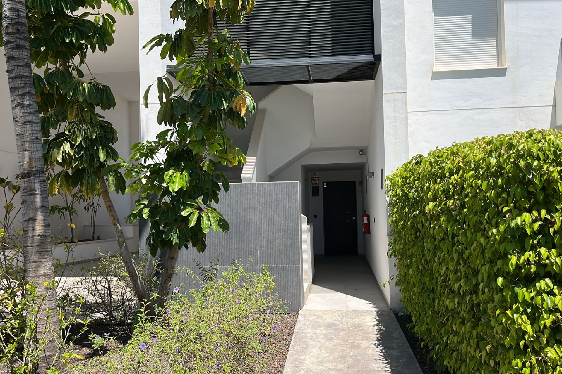 Resale - Apartment / Flat - Los Altos