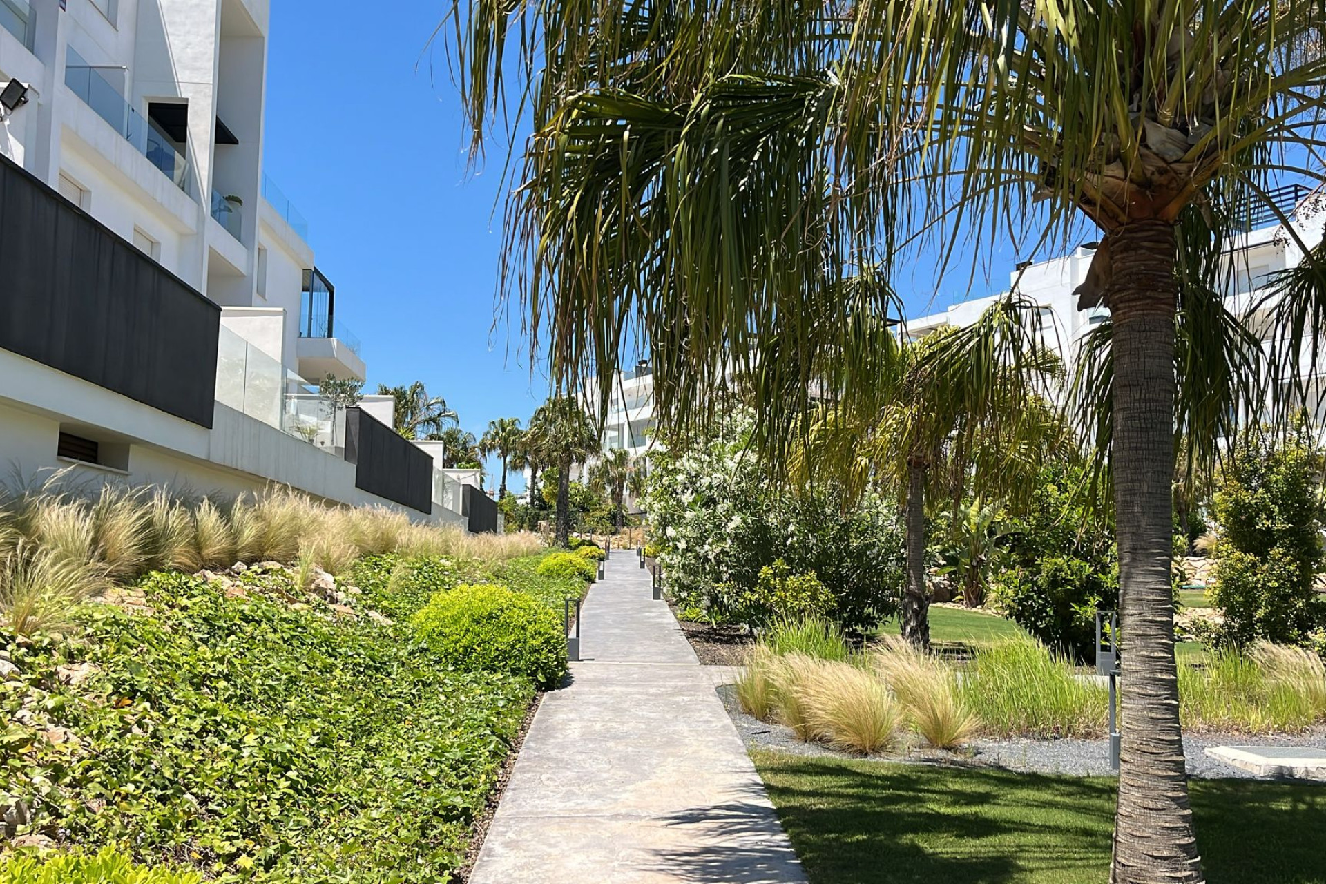 Resale - Apartment / Flat - Los Altos