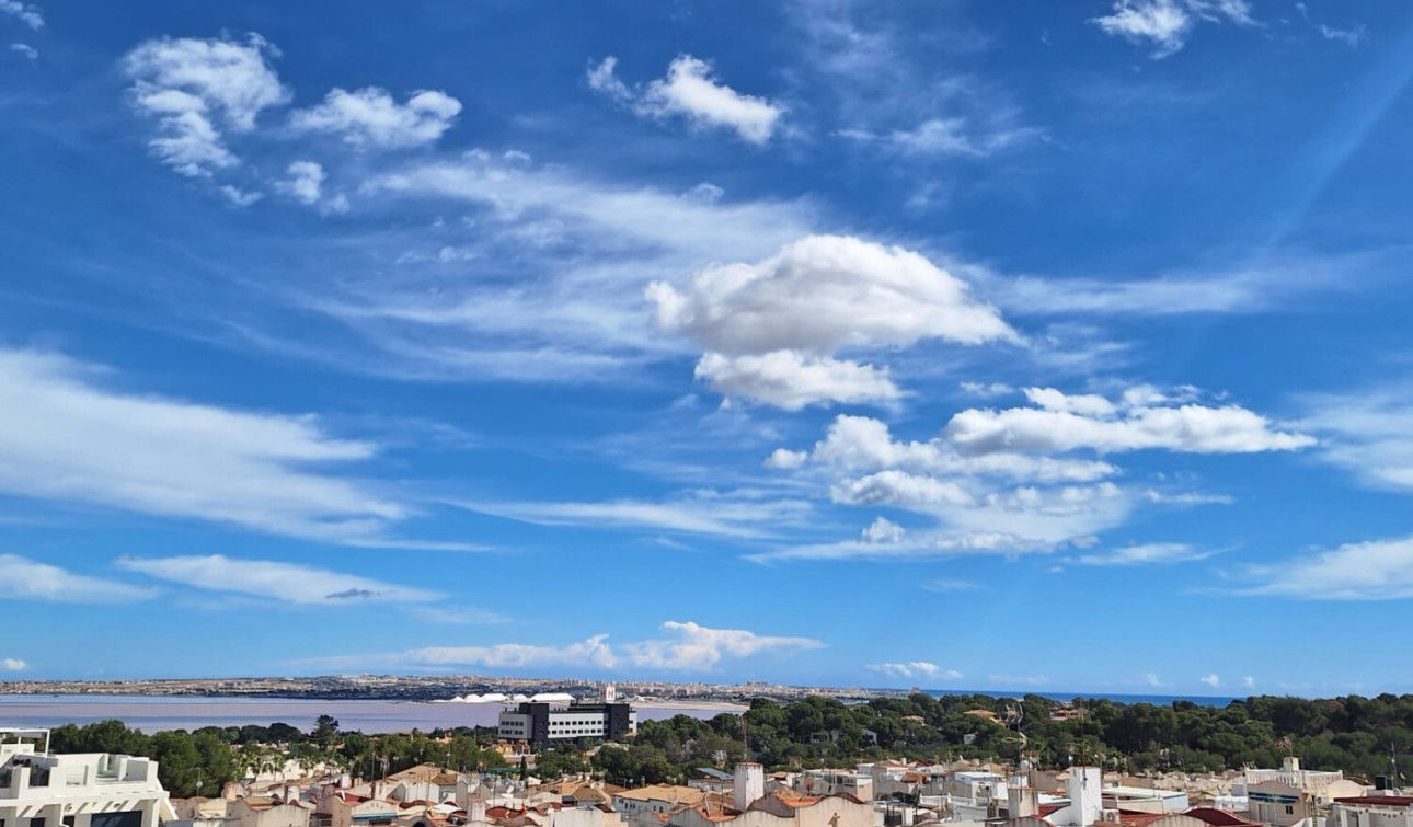 Resale - Apartment / Flat - Los Balcones