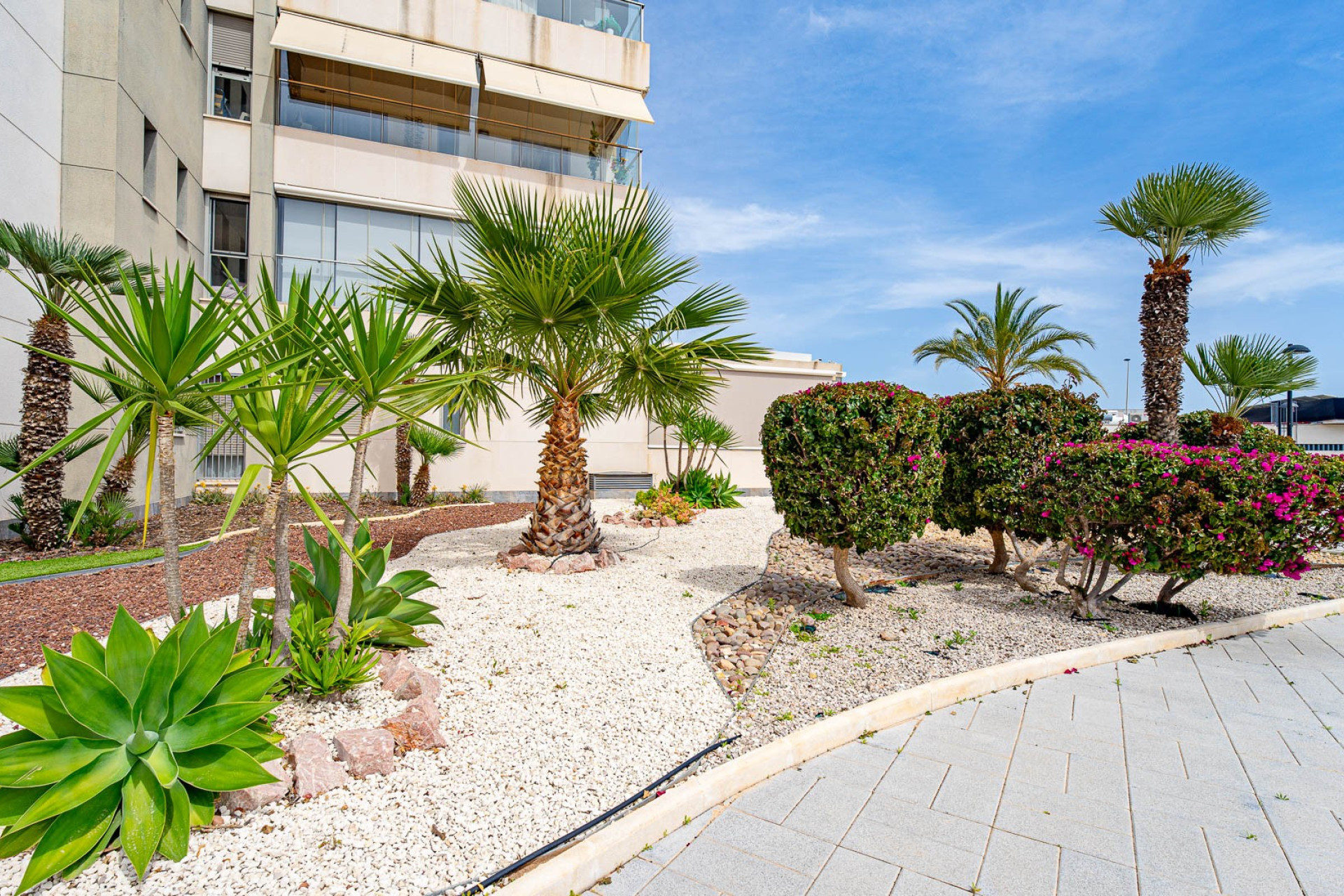 Resale - Apartment / Flat - Los Dolses - Villamartin