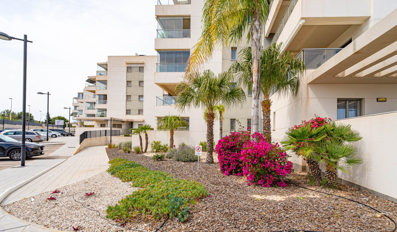 Resale - Apartment / Flat - Los Dolses - Villamartin