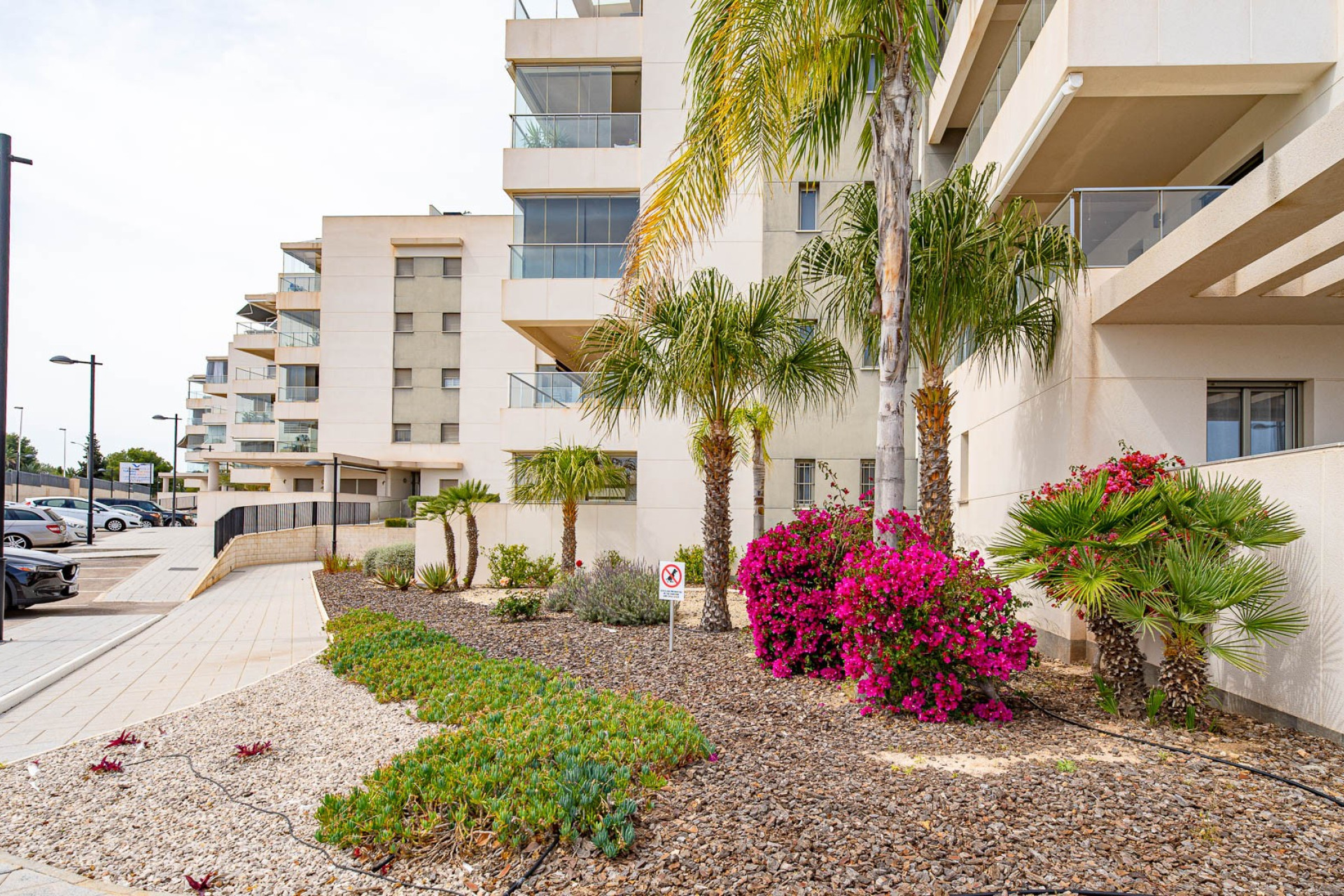 Resale - Apartment / Flat - Los Dolses - Villamartin