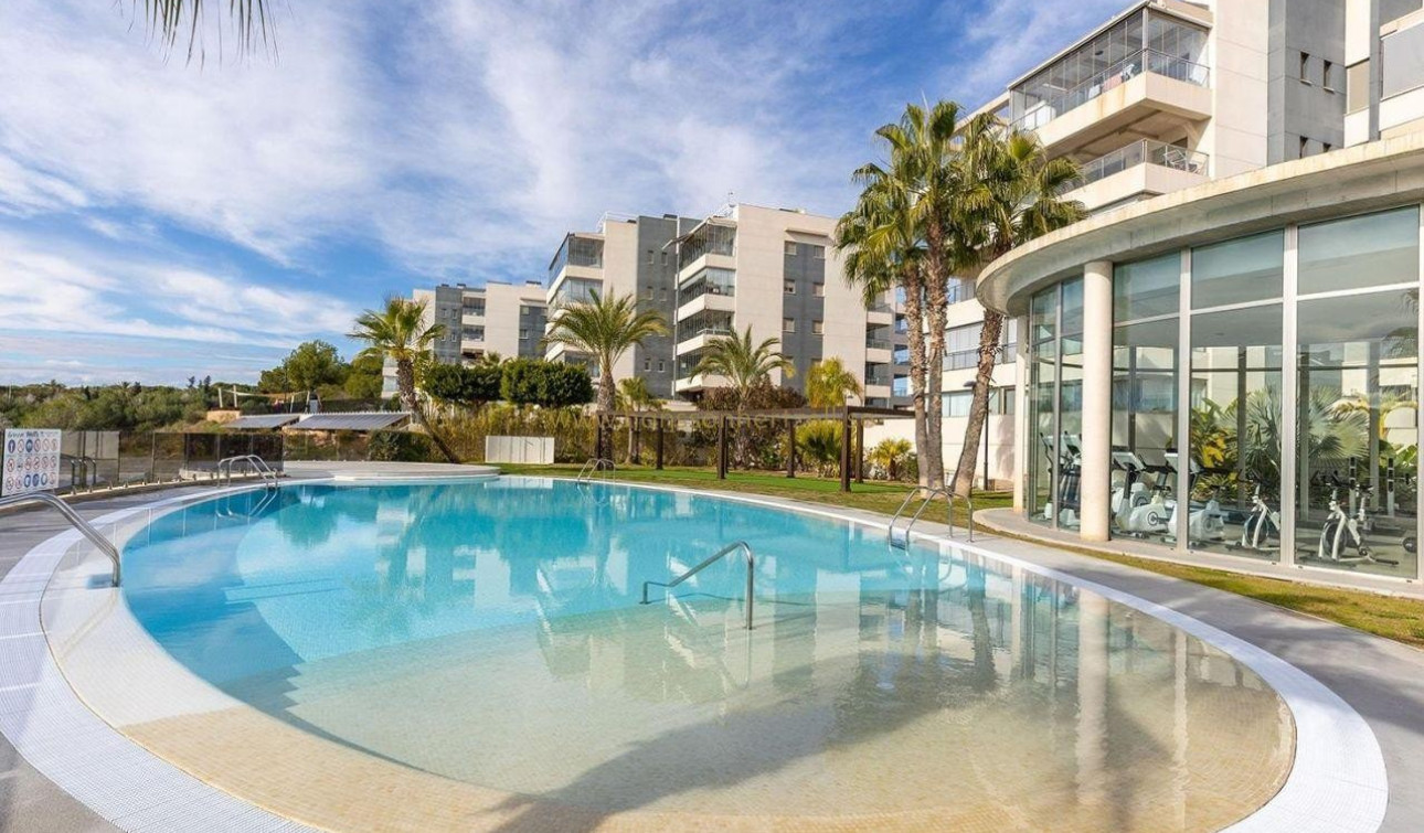 Resale - Apartment / Flat - Los Dolses - Villamartin