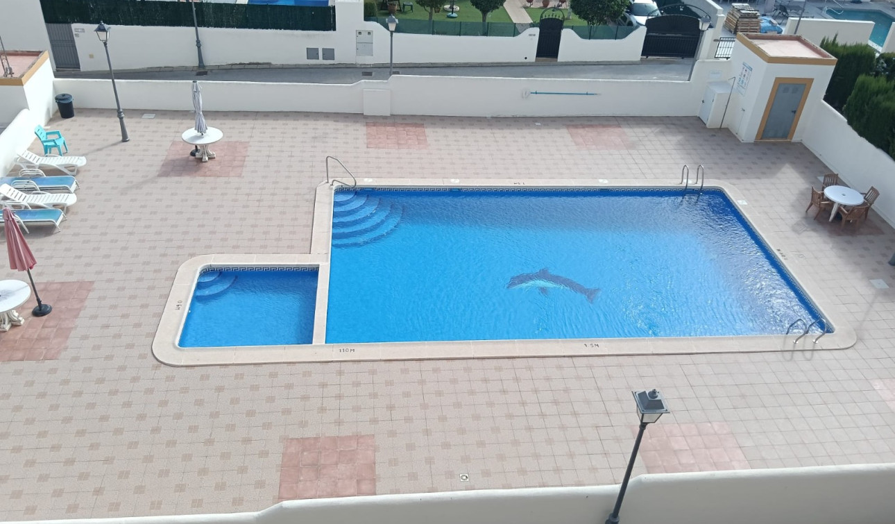 Resale - Apartment / Flat - Los Montesinos - Urbanizacion montesol