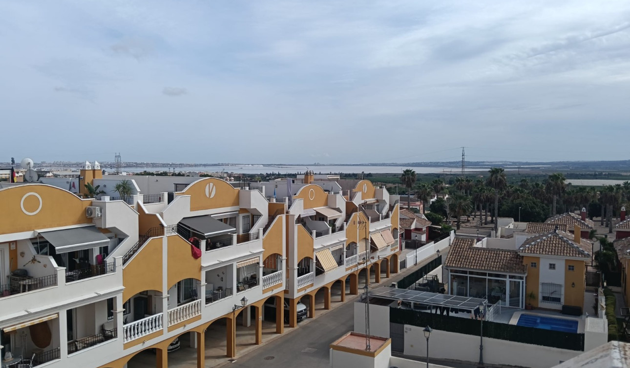 Resale - Apartment / Flat - Los Montesinos - Urbanizacion montesol