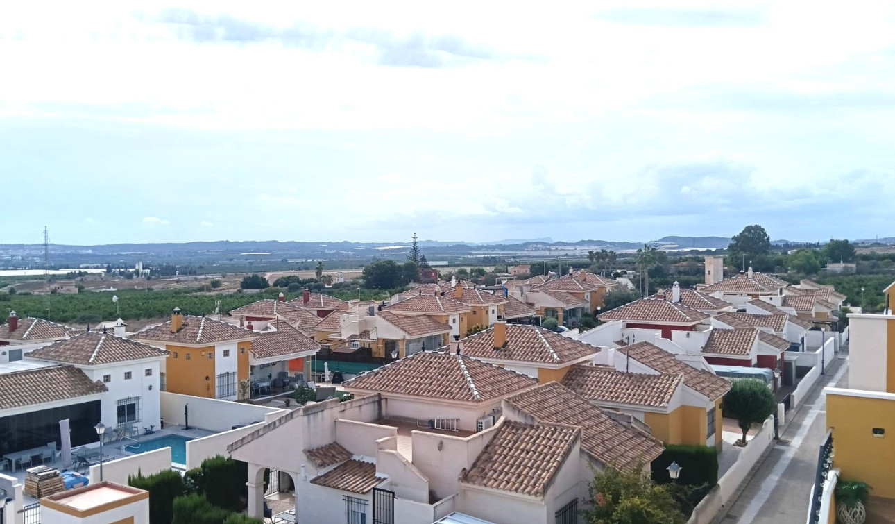 Resale - Apartment / Flat - Los Montesinos - Urbanizacion montesol