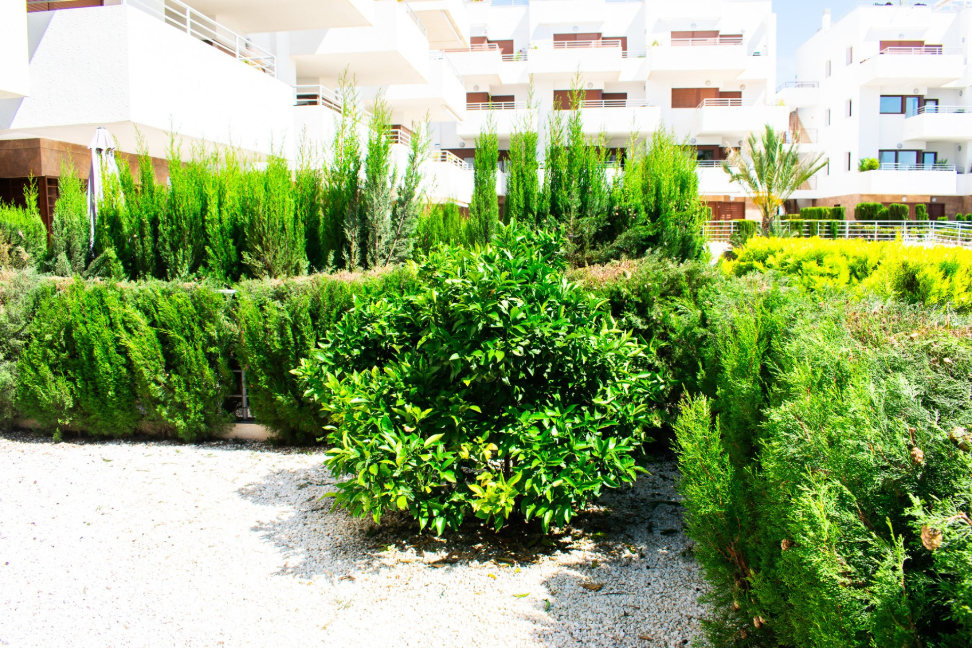 Resale - Apartment / Flat - Orihuela Costa - Cabo Roig