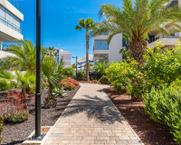 Resale - Apartment / Flat - Orihuela Costa - Los Dolses