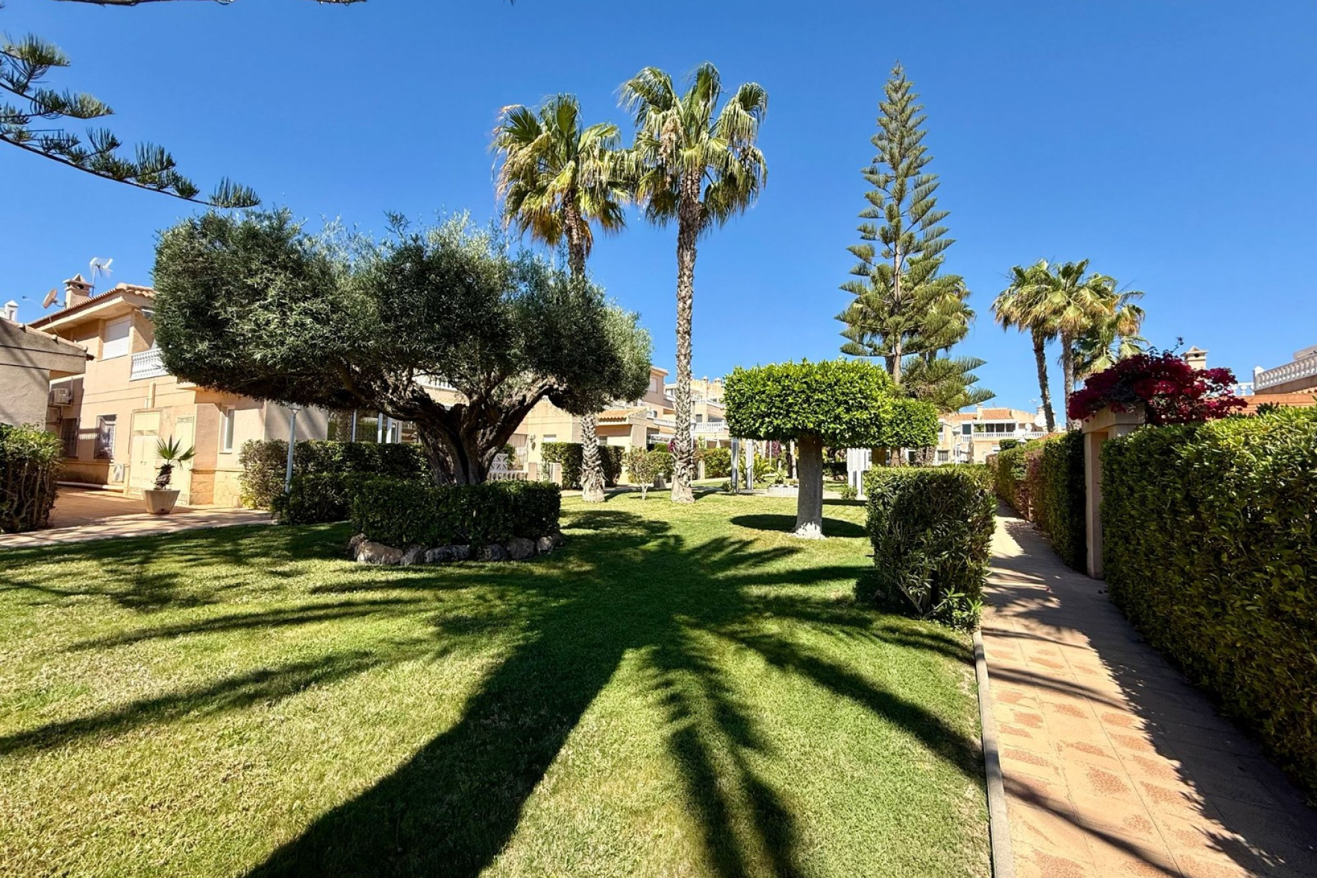 Resale - Apartment / Flat - Orihuela Costa - Playa Flamenca