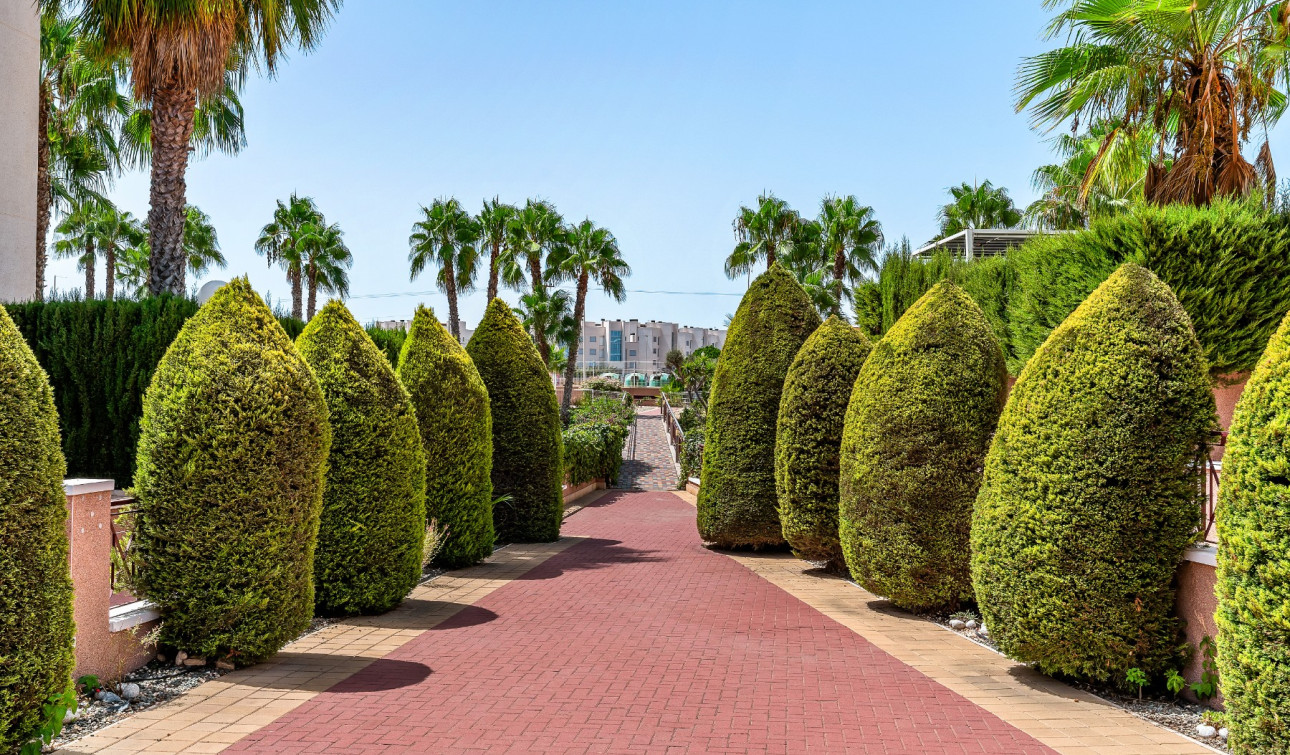 Resale - Apartment / Flat - Orihuela Costa - Playa Flamenca