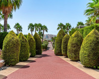 Resale - Apartment / Flat - Orihuela Costa - Playa Flamenca