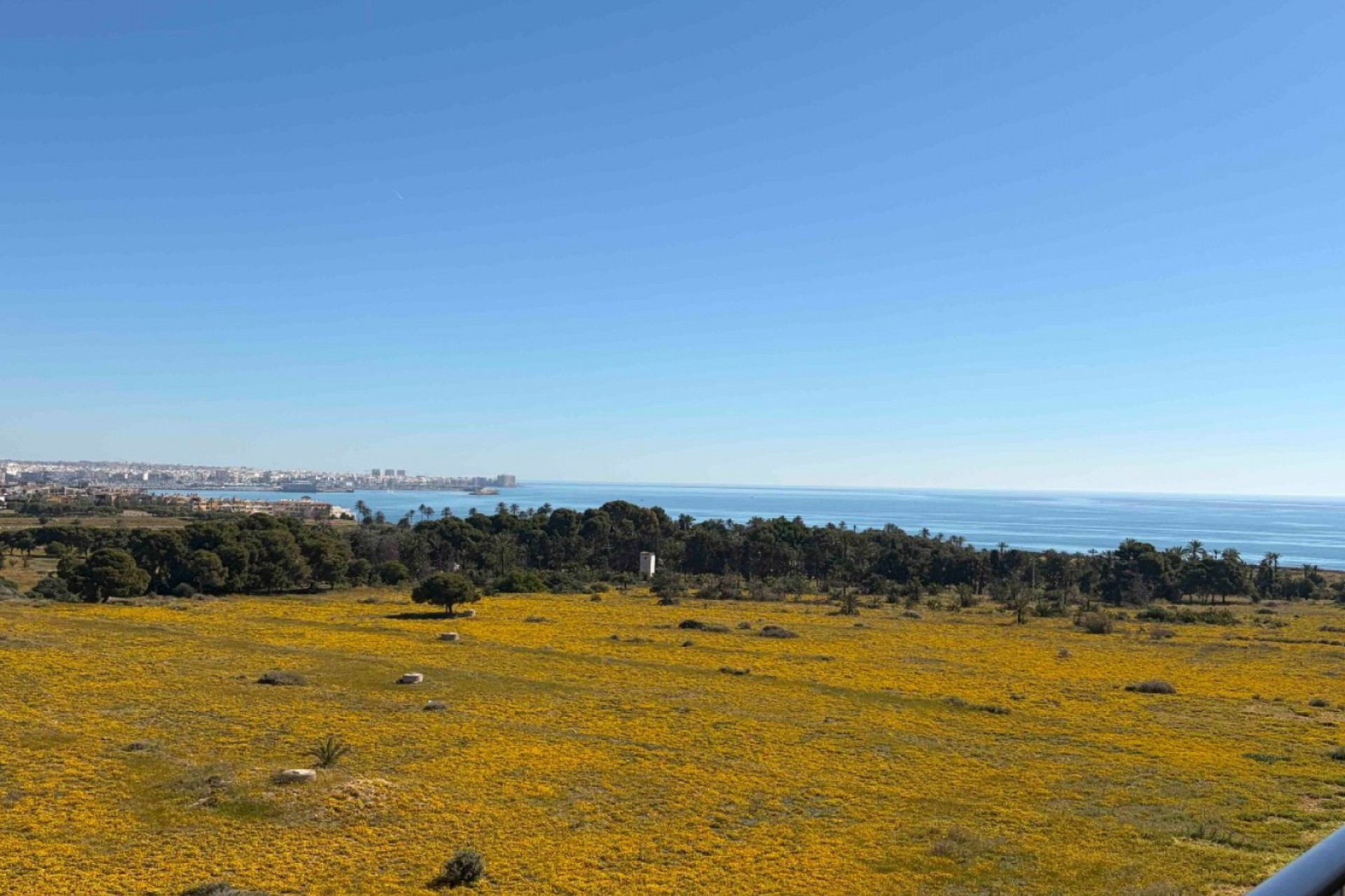 Resale - Apartment / Flat - Orihuela Costa - Punta Prima