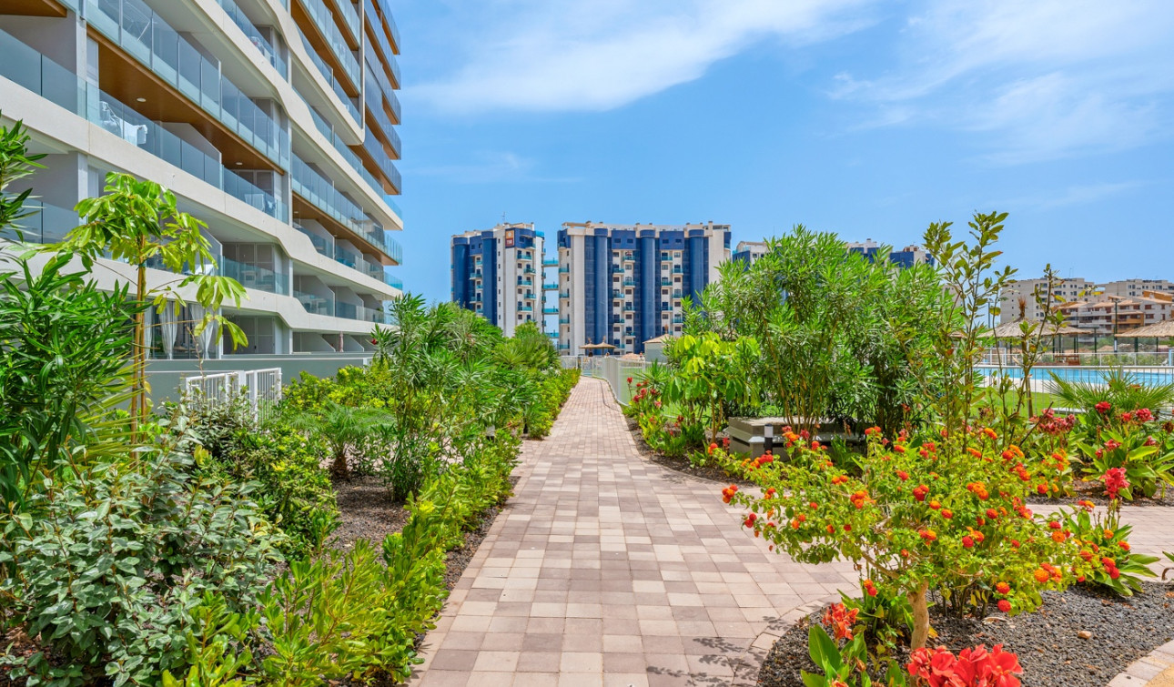 Resale - Apartment / Flat - Orihuela Costa - Punta Prima