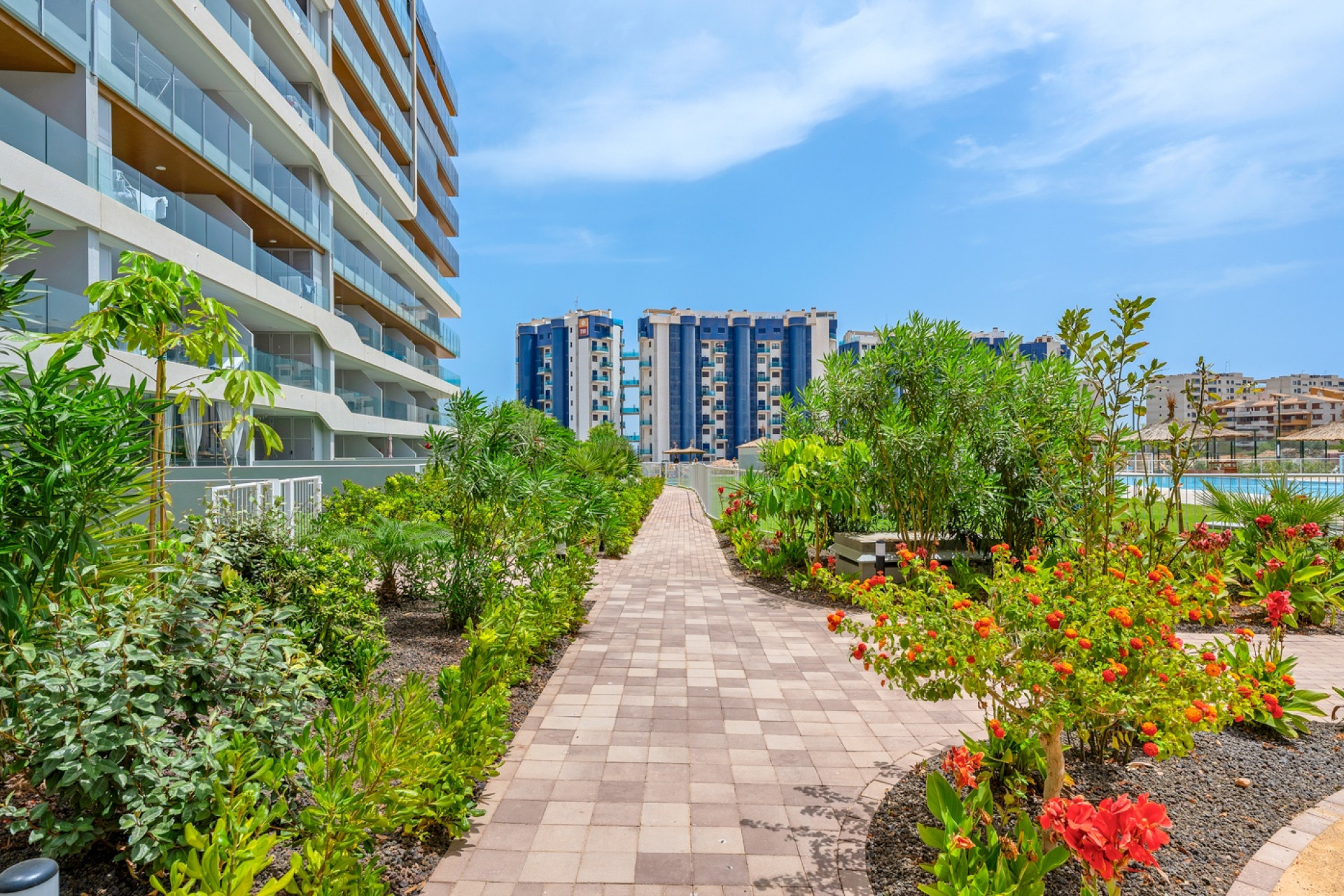 Resale - Apartment / Flat - Orihuela Costa - Punta Prima