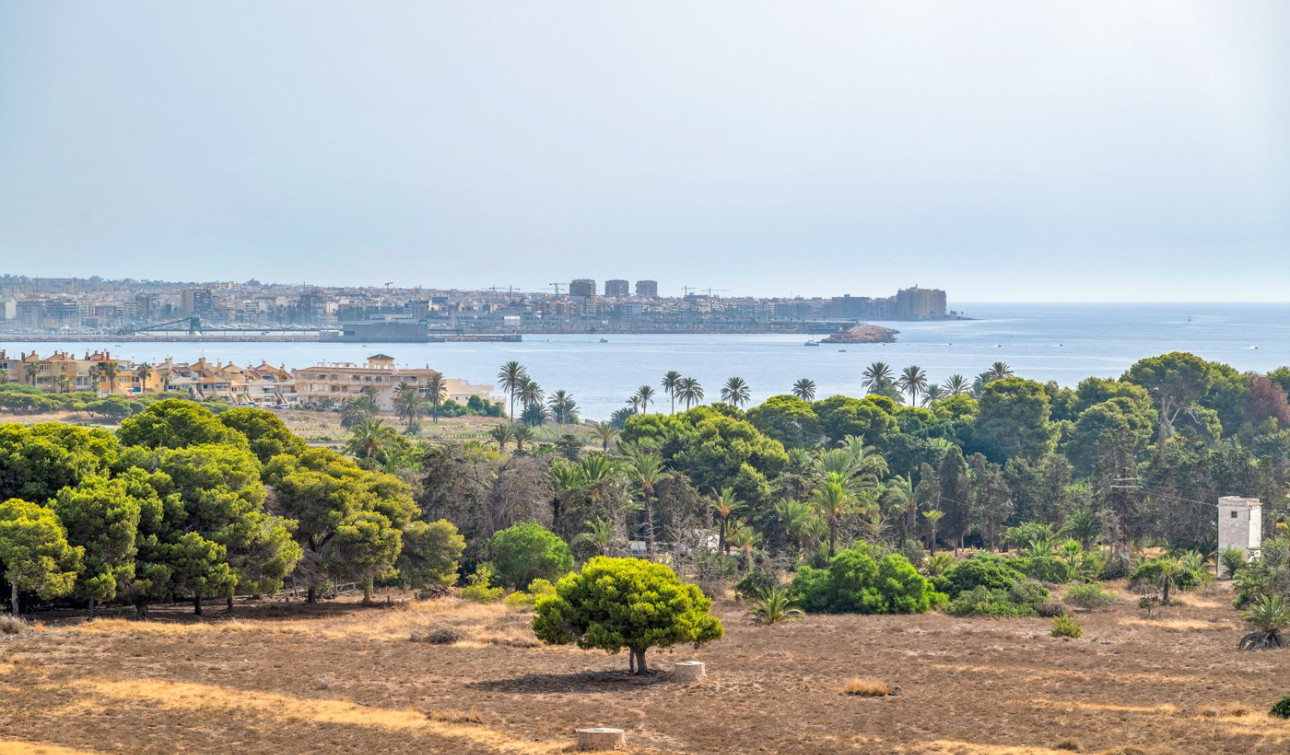 Resale - Apartment / Flat - Orihuela Costa - Punta Prima