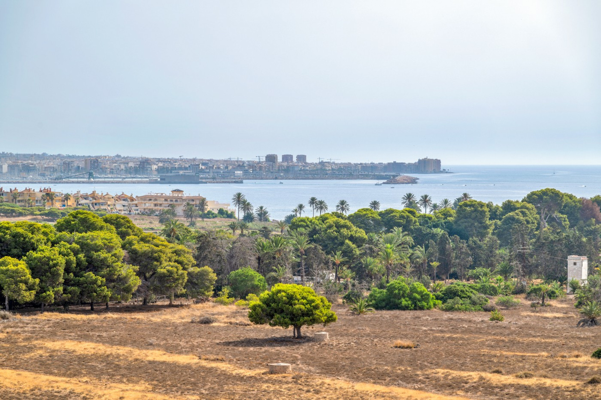 Resale - Apartment / Flat - Orihuela Costa - Punta Prima