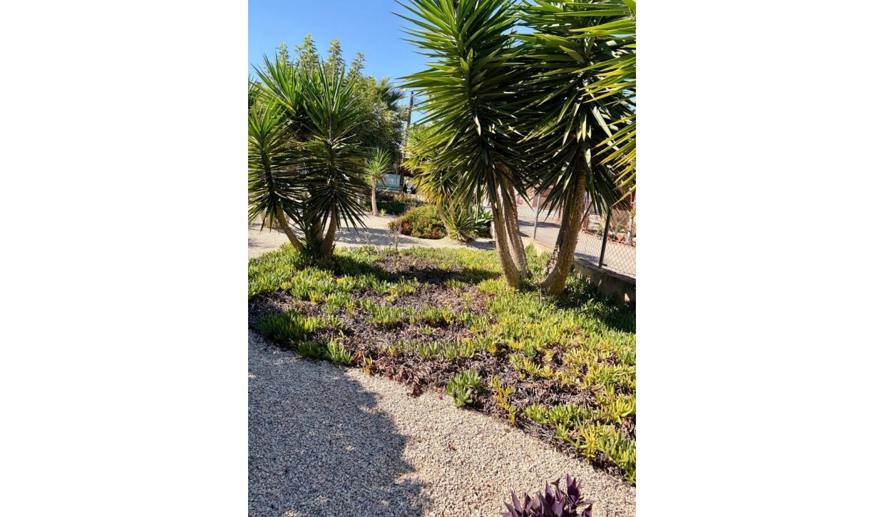 Resale - Apartment / Flat - Orihuela