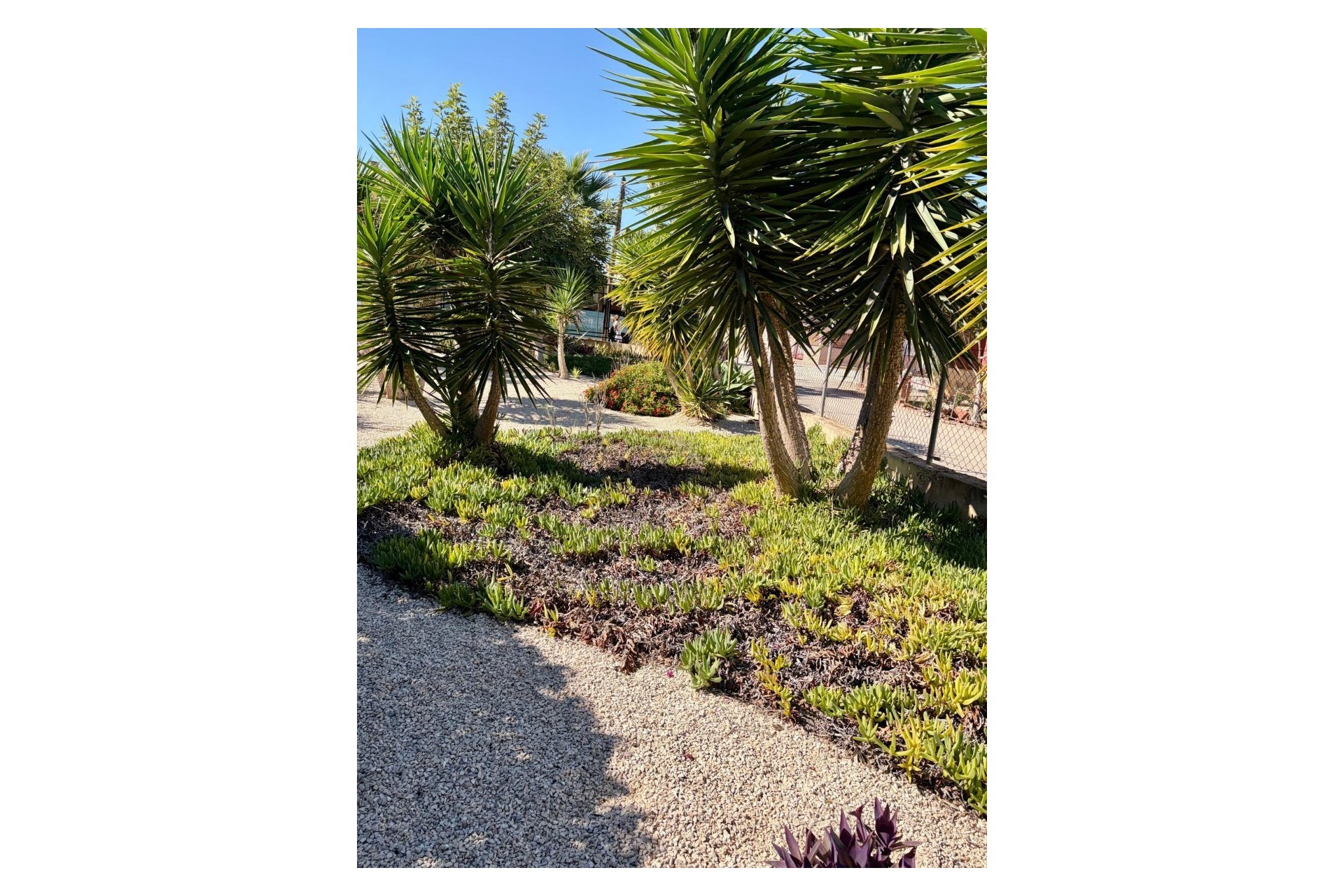 Resale - Apartment / Flat - Orihuela