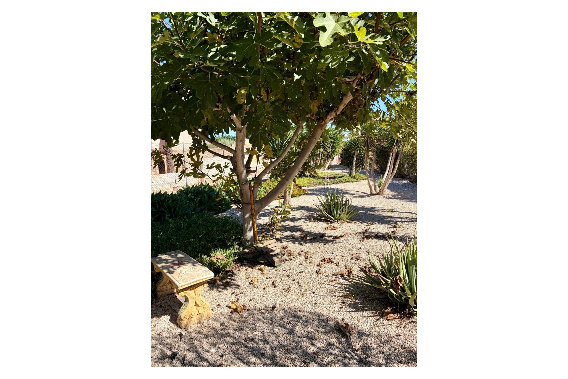 Resale - Apartment / Flat - Orihuela