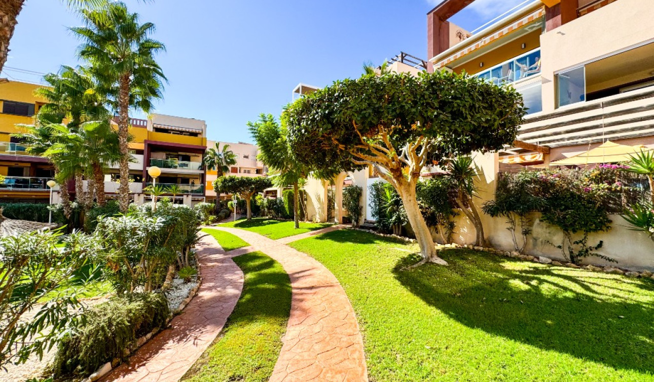 Resale - Apartment / Flat - Playa Flamenca