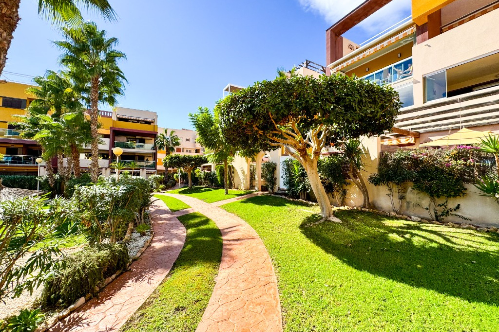 Resale - Apartment / Flat - Playa Flamenca