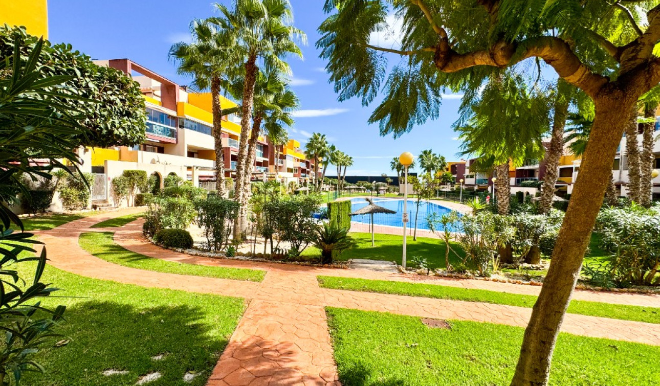 Resale - Apartment / Flat - Playa Flamenca