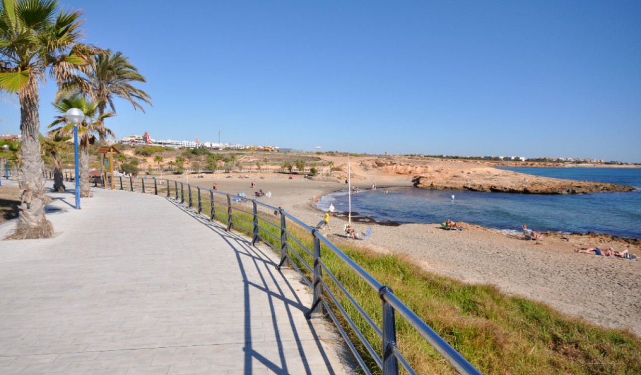 Resale - Apartment / Flat - Playa Flamenca