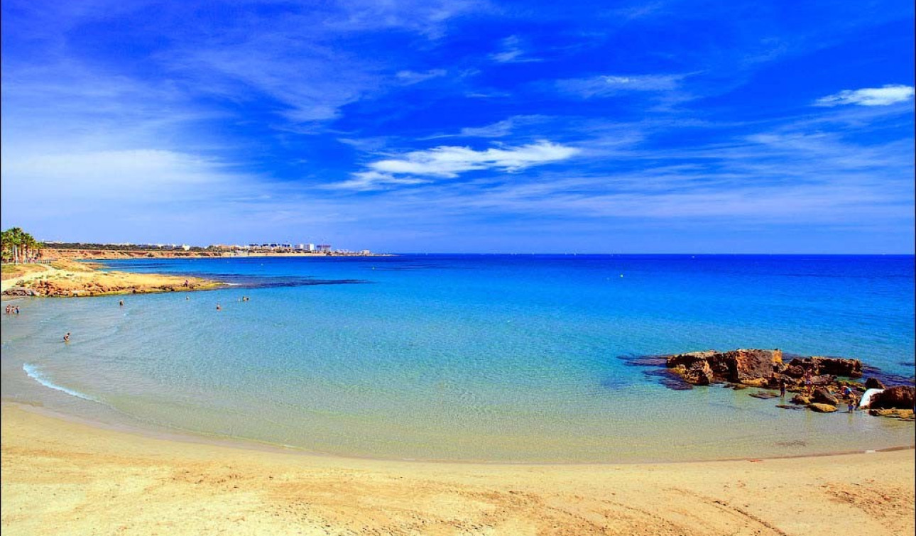 Resale - Apartment / Flat - Playa Flamenca