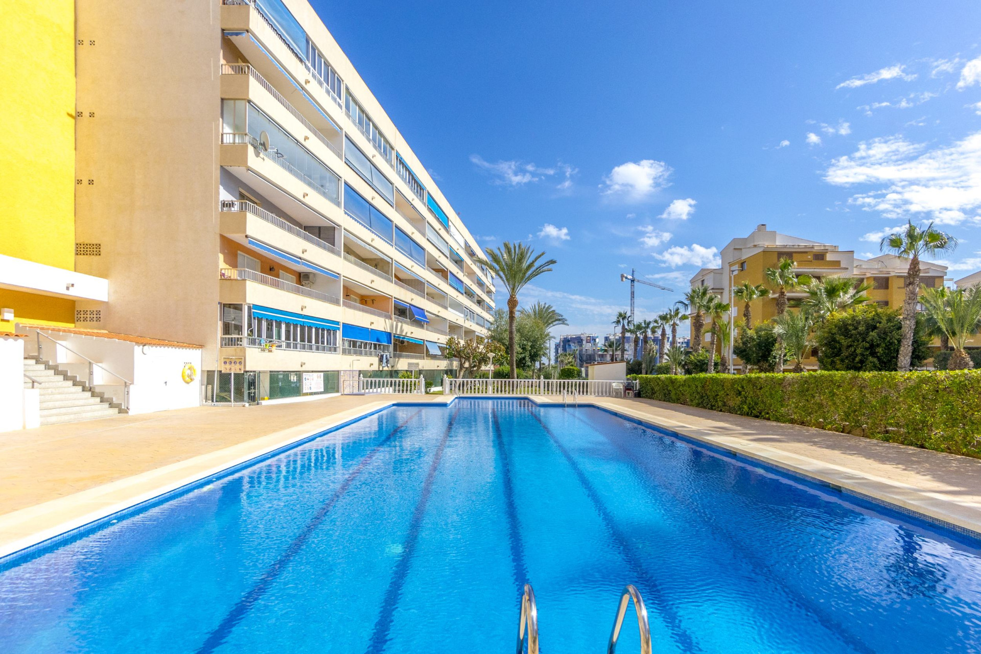 Resale - Apartment / Flat - Punta Prima - El Acequión