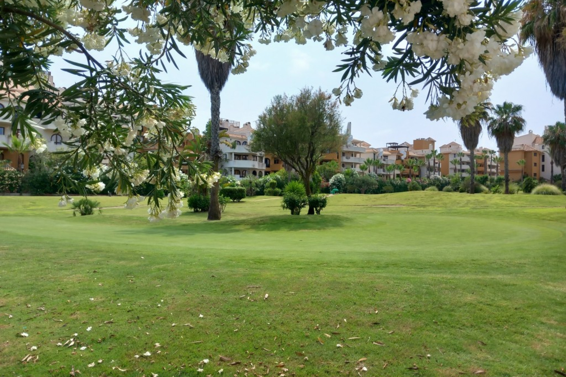 Resale - Apartment / Flat - Punta Prima