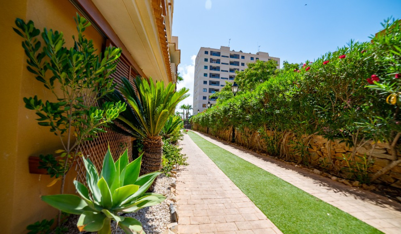 Resale - Apartment / Flat - Punta Prima