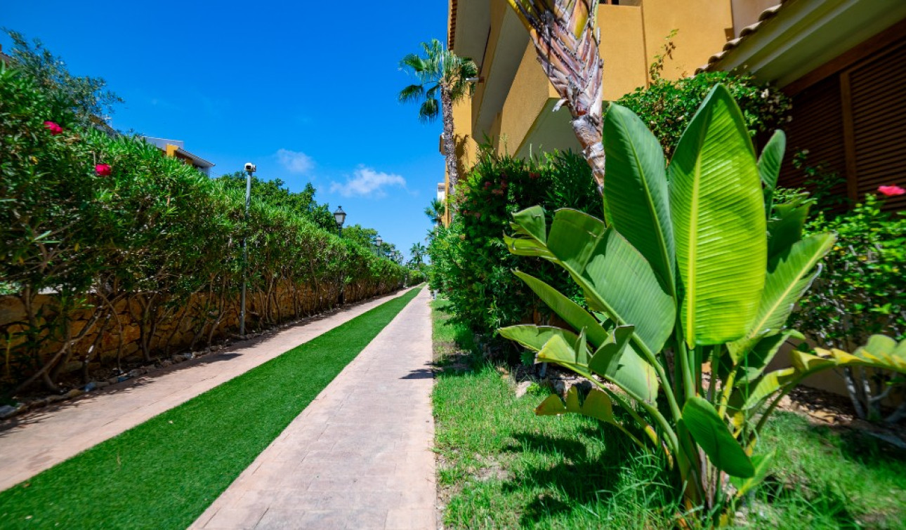 Resale - Apartment / Flat - Punta Prima