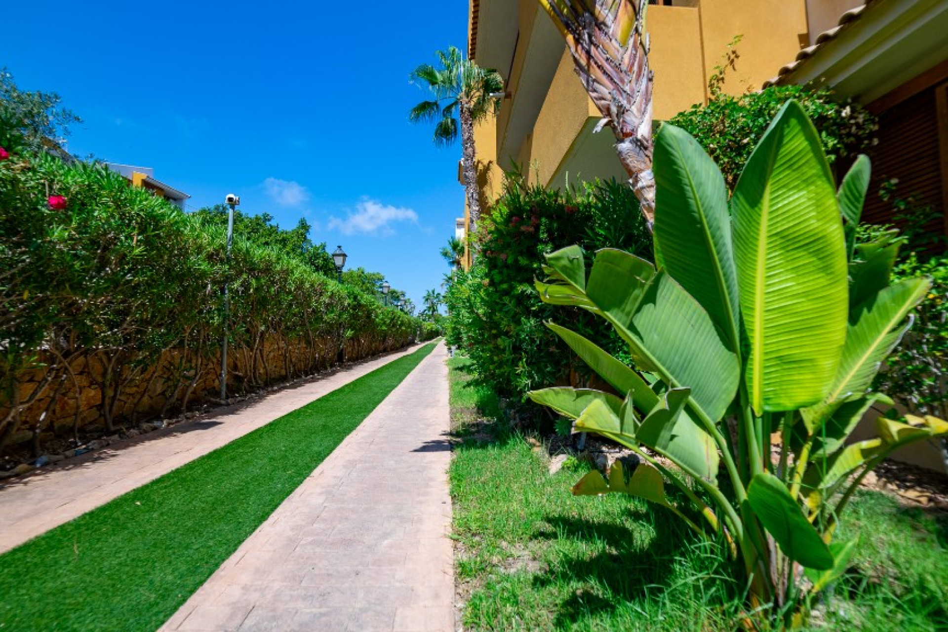 Resale - Apartment / Flat - Punta Prima