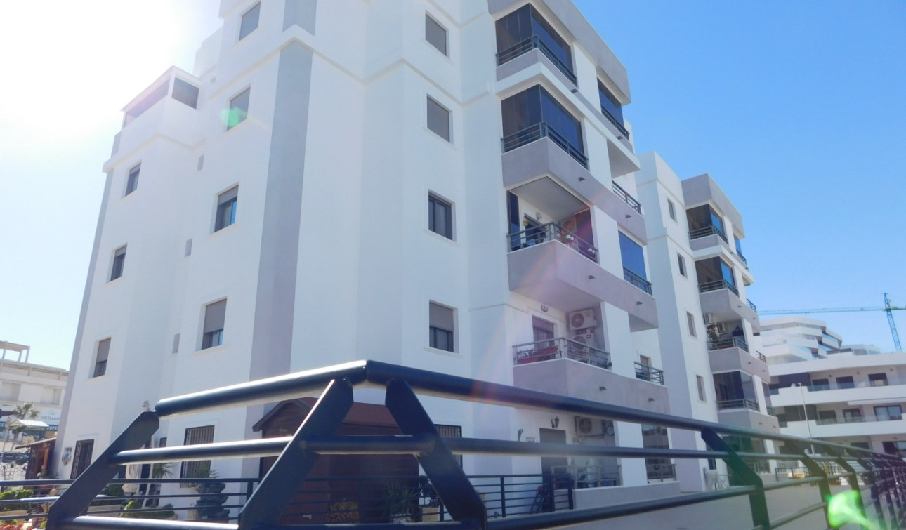 Resale - Apartment / Flat - San Miguel de Salinas - San Miguel Salinas