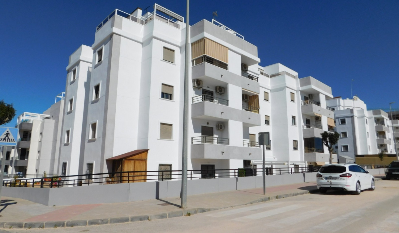 Resale - Apartment / Flat - San Miguel de Salinas - San Miguel Salinas