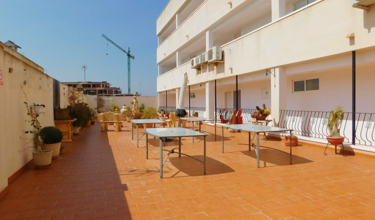 Resale - Apartment / Flat - San Miguel de Salinas - San Miguel Salinas