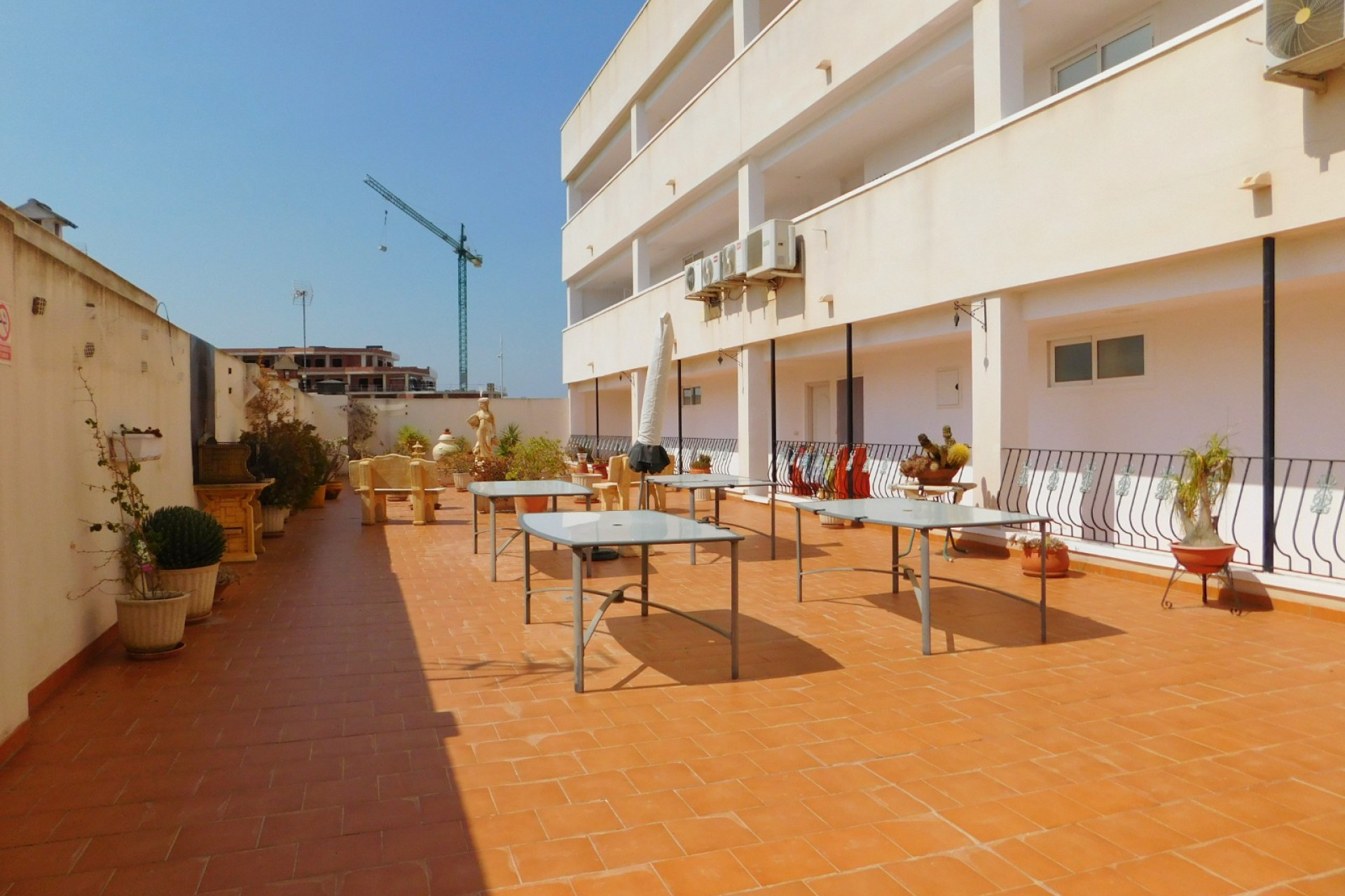 Resale - Apartment / Flat - San Miguel de Salinas - San Miguel Salinas