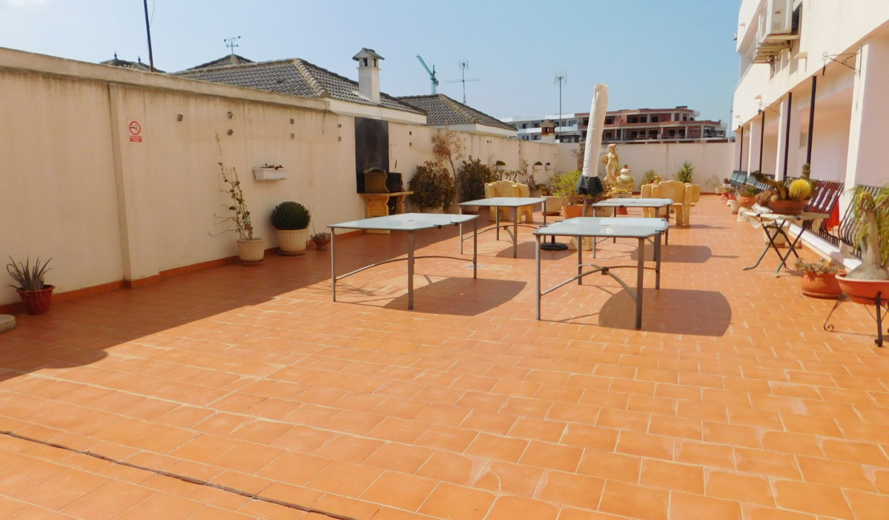 Resale - Apartment / Flat - San Miguel de Salinas - San Miguel Salinas