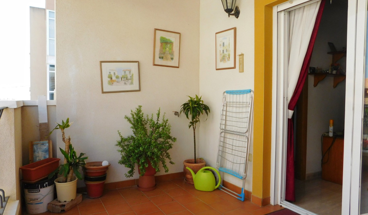 Resale - Apartment / Flat - San Miguel de Salinas - San Miguel Salinas