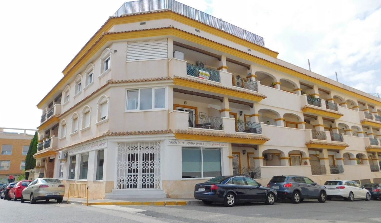 Resale - Apartment / Flat - San Miguel de Salinas - San Miguel Salinas