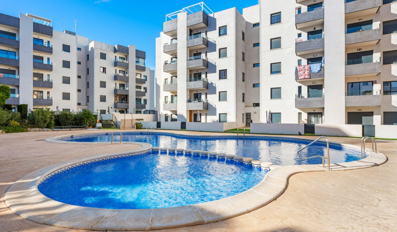Resale - Apartment / Flat - San Miguel de Salinas - San Miguel