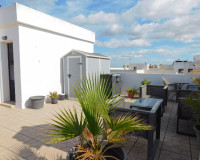 Resale - Apartment / Flat - San Miguel de Salinas