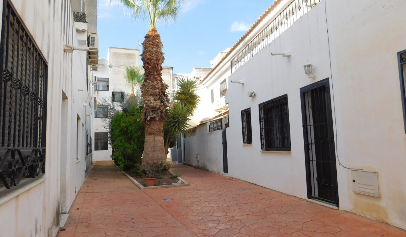 Resale - Apartment / Flat - San Miguel de Salinas