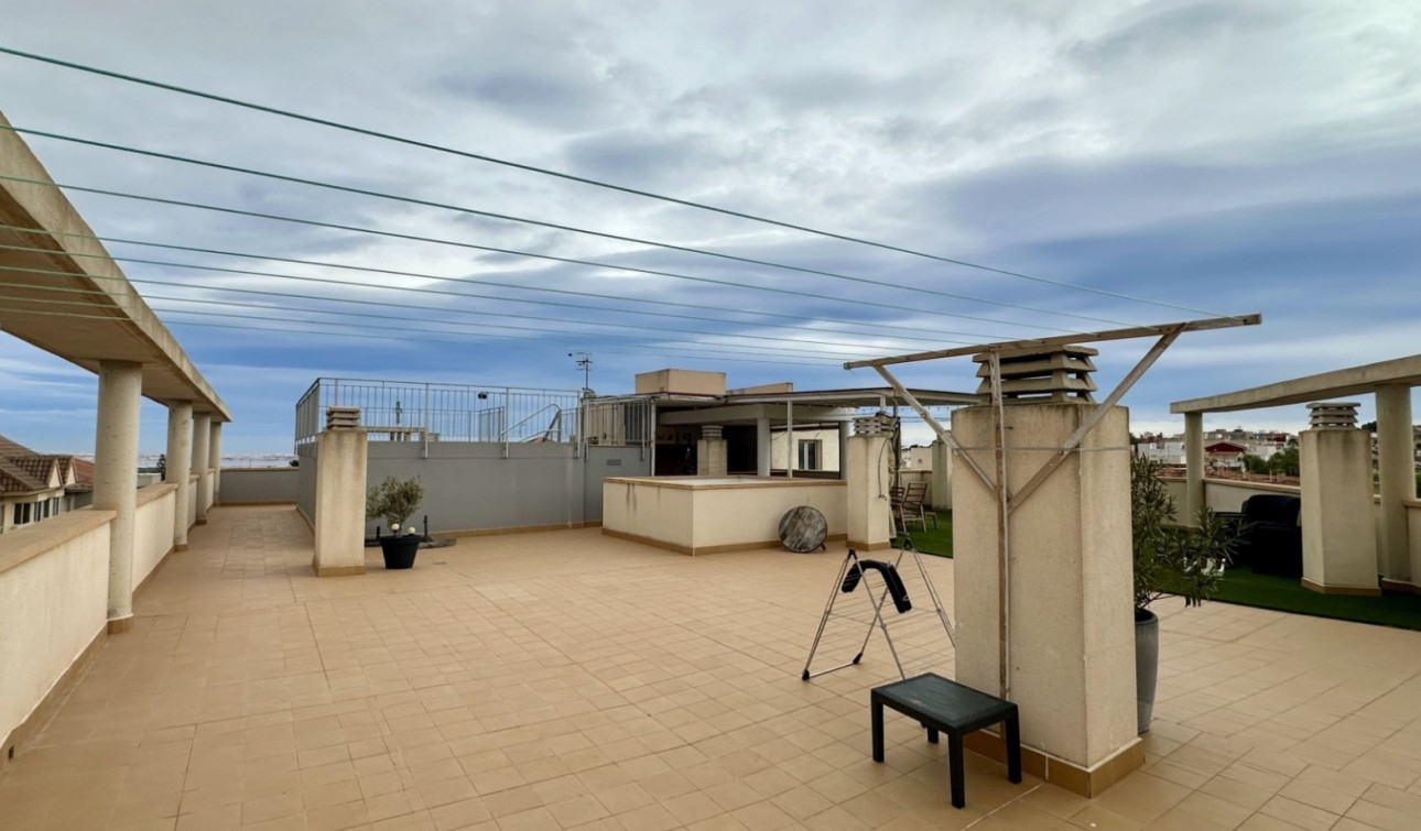 Resale - Apartment / Flat - San Miguel de Salinas